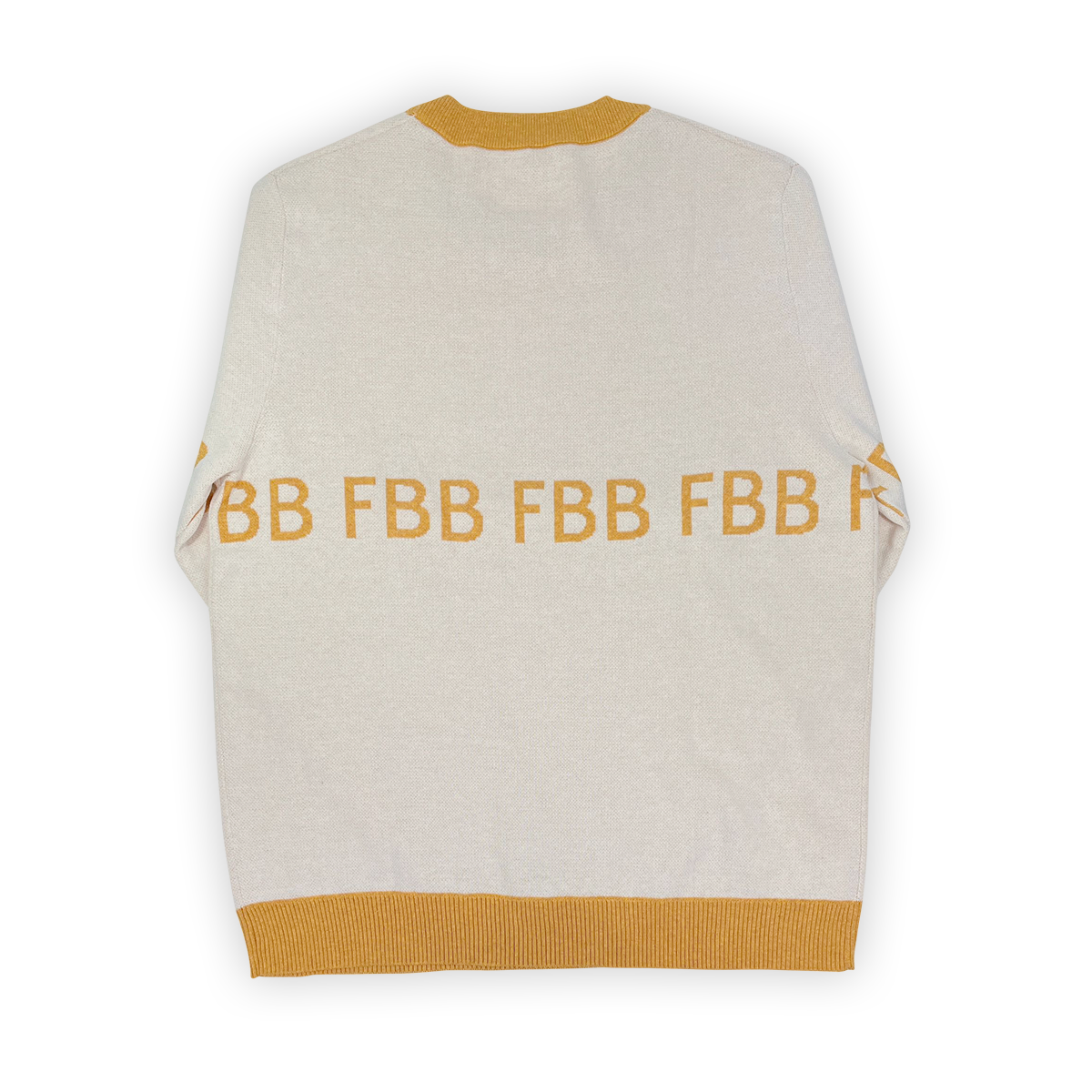 Back view FBB Knitted Sweater